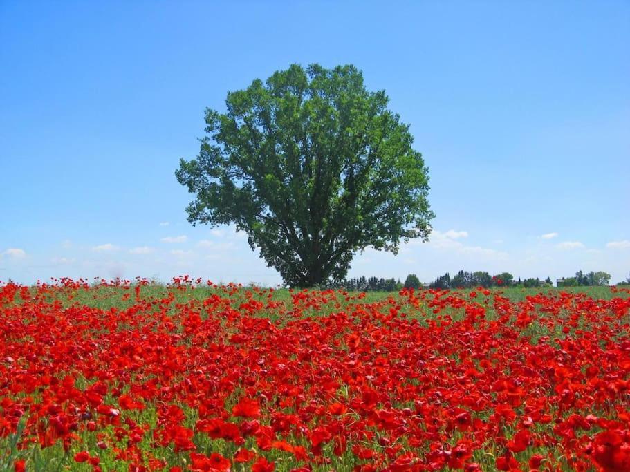Inselidylle Villa Kunterbunt Fehmarn Bagian luar foto
