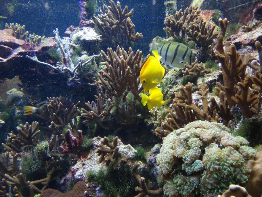 Inselidylle Villa Kunterbunt Fehmarn Bagian luar foto